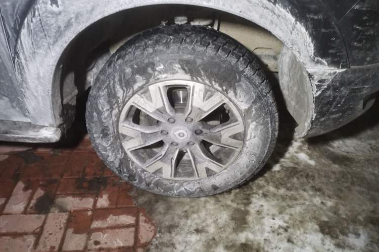 Used Great Wall Poer 2021 2.0T Global Version Automatic Diesel 4x4 Comfort Trim Standard Box GW4D20M