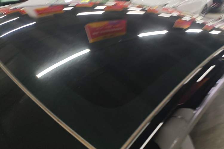 Used Tesla Model Y 2021 Standard Range Rear-Wheel Drive Version Roof