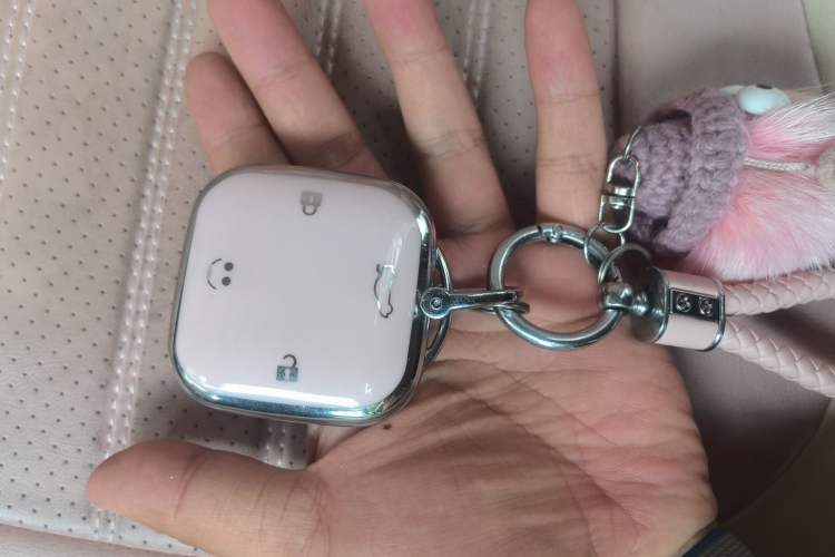 Used CHANGAN NEVO Lumin 2025 205 km Xiangqin Version Vehicle Key