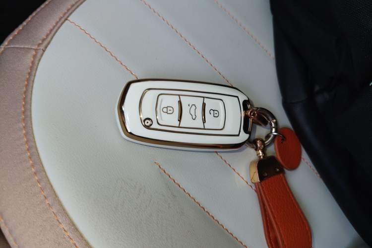 Used Geely Galaxy Panda 2024 Panda Mini 200km Endurance Bear Vehicle Key