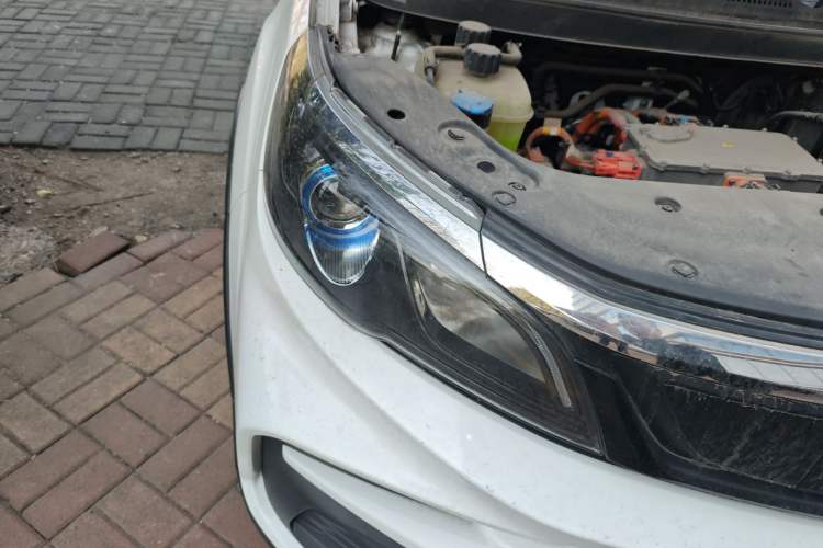 Used Livan Maple 30X 2020 Style Edition
