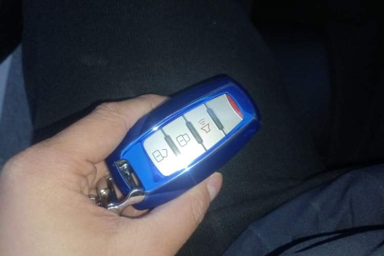 Used Great Wall Poer 2021 2.0T Commercial Version Manual Diesel Two-Wheel Drive Elite Long-Box GW4D20M
