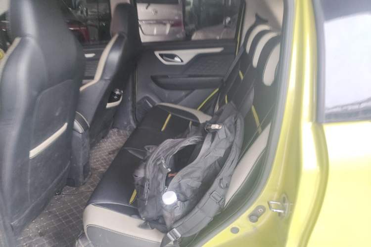 Used SOL E10X 2022 Flower Fairy Design Four-Leaf Clover