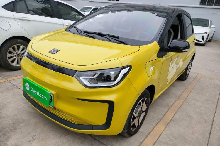 Used SOL E10X 2022 Flower Fairy Style Baby's Breath