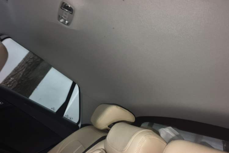 Used Audi Q2L 2020 35 TFSI Ambition Dynamic Edition Headliner