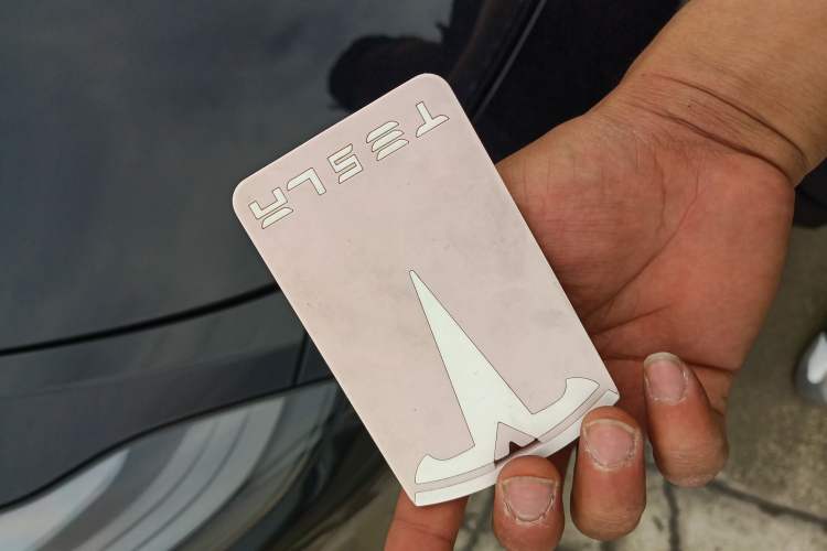 Used Tesla Model Y 2021 Standard Range Rear-Wheel Drive Version Interior 1