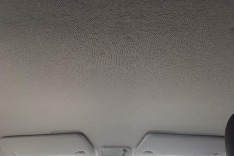 Used Wuling Hongguang MINIEV 2020 Enjoyment Model Lithium Iron Phosphate Headliner