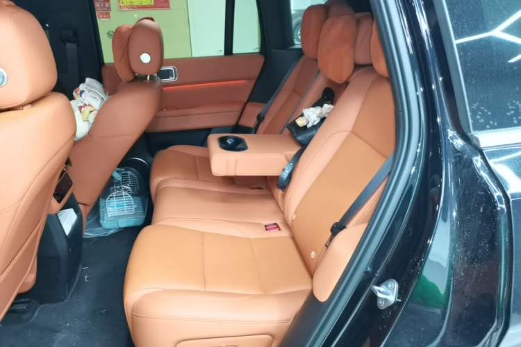 Used Li Auto L6 2024 Pro Model Left Rear Seat