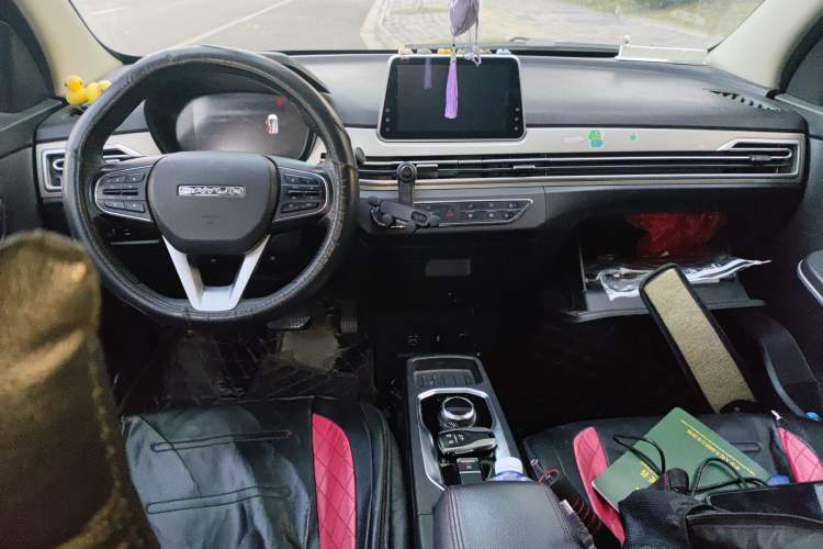 Used Dayun Yuehu 2021 32.85 kWh Two-Wheel-Drive Sprite Version Center Console