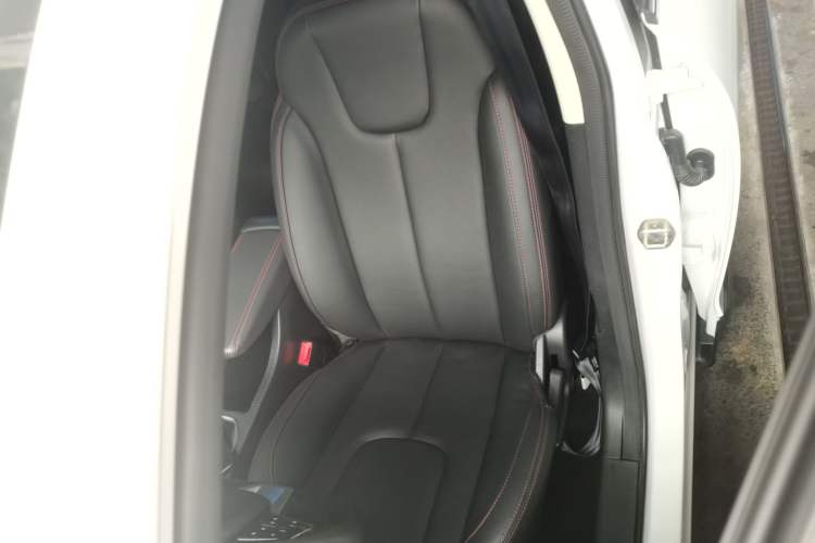 Used Dayun Yuehu 2021 32.85 kWh Two-Wheel-Drive Sprite Version
