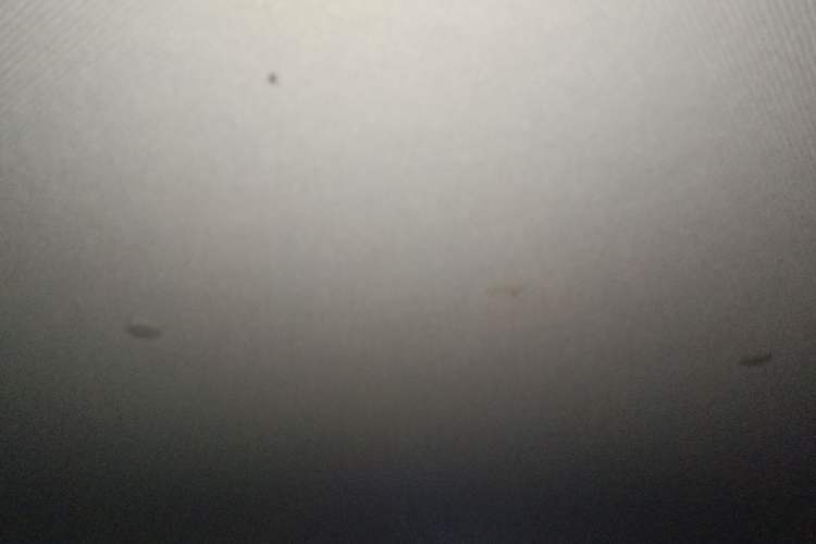 Used Wuling Hongguang MINIEV 2022 Zizai Version Lithium Iron Phosphate
