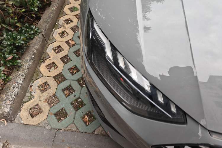 Used Audi A4L 2024 40 TFSI Luxury Dynamic Edition (Starry Night Version)