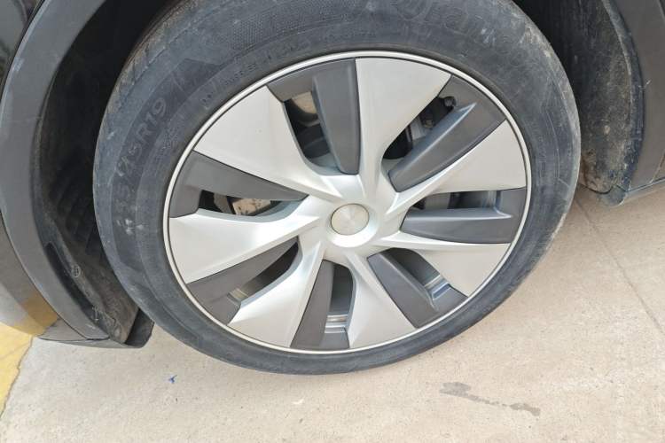 Used Tesla Model Y 2021 Standard Range Rear-Wheel Drive Version