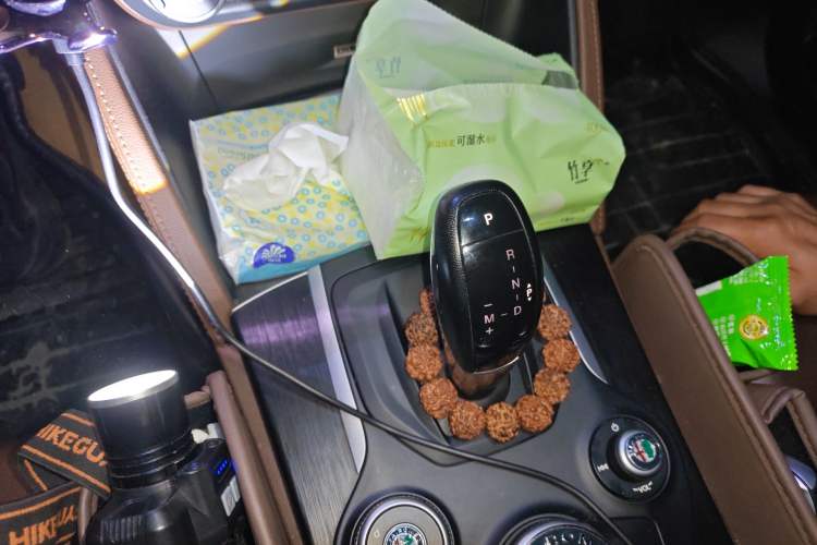 Used Alfa Romeo Stelvio 2017 2.0T 200HP Elite Edition
