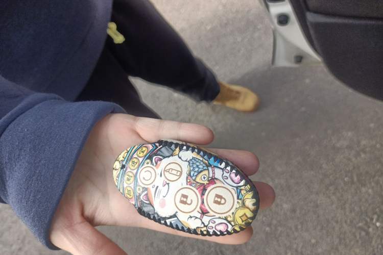 Used BYD Yuan New Energy 2019 EV360 Smart Connect Elite Model Vehicle Key