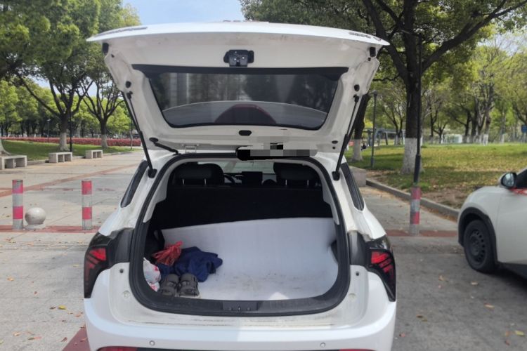 Used NETA V 2021 Long-Range Entertainment Edition Upgrade Model
