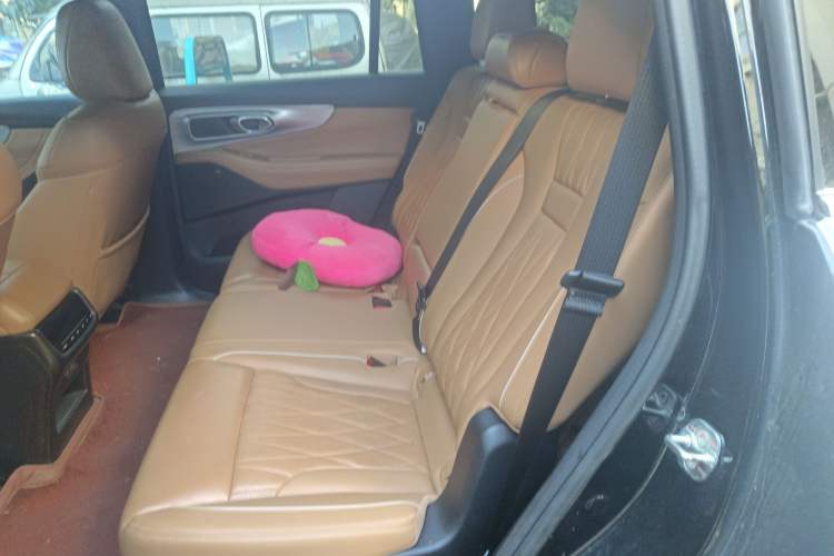 Used GAC Trumpchi GS8 2024 Linghang Series 2.0 TGDI Two-Wheel Drive Luxury Smart Connectivity Version
