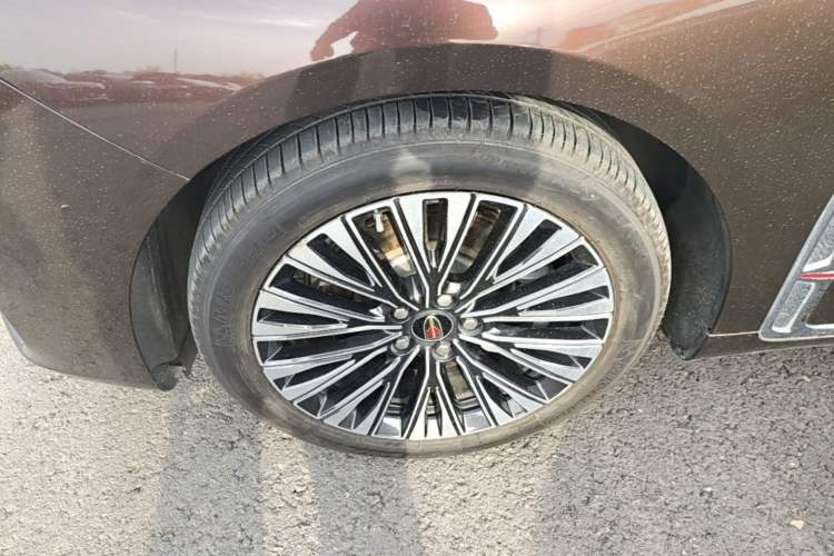 Used Hongqi H9 2024 2.0T Qichang Luxury Business Edition
