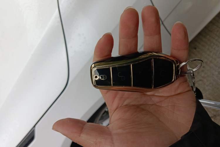 Used BYD Destroyer 05 2024 HONOR Edition DM-i 55KM Luxury Model
