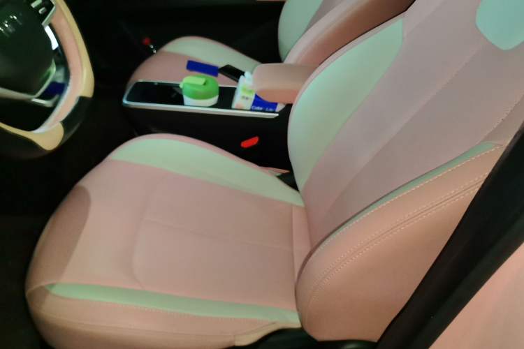 Used NETA V 2021 Witch Edition
