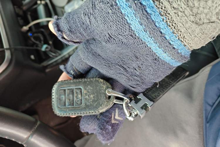 Used Honda Elysion 2019 2.0L Hybrid Luxury Edition