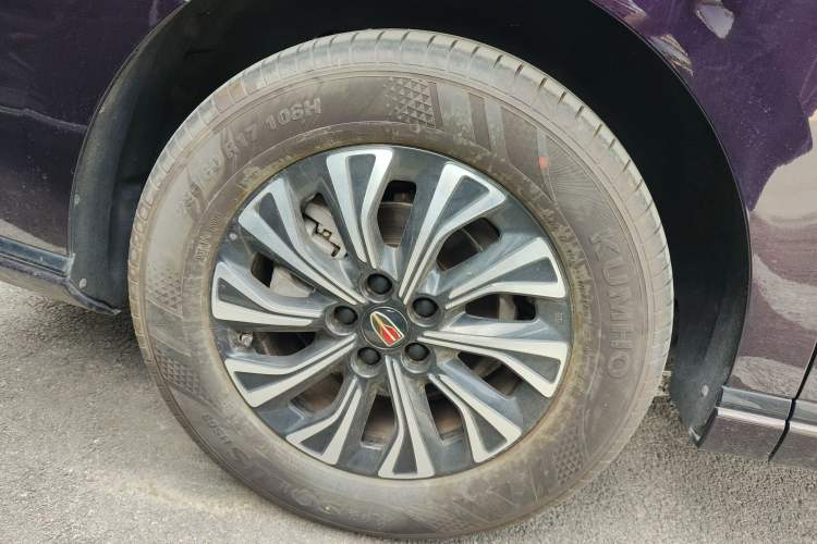 Used Hongqi HQ9 PHEV 2024 2.0T Four-Wheel Drive Luxury Edition Exterior 5