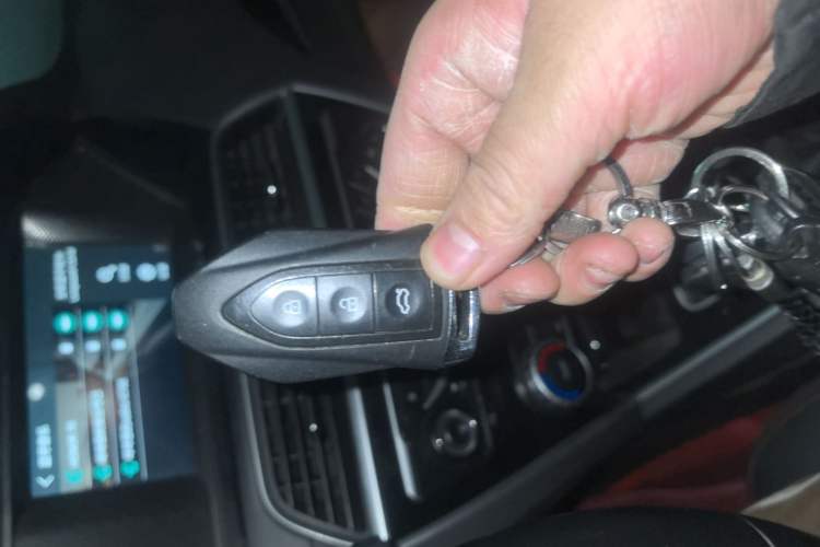 Used Leopaard CS10 2017 2.0T Manual Excellence Edition