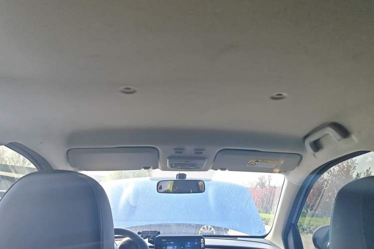 Used ORA Black Cat 2019 351 km Family Edition