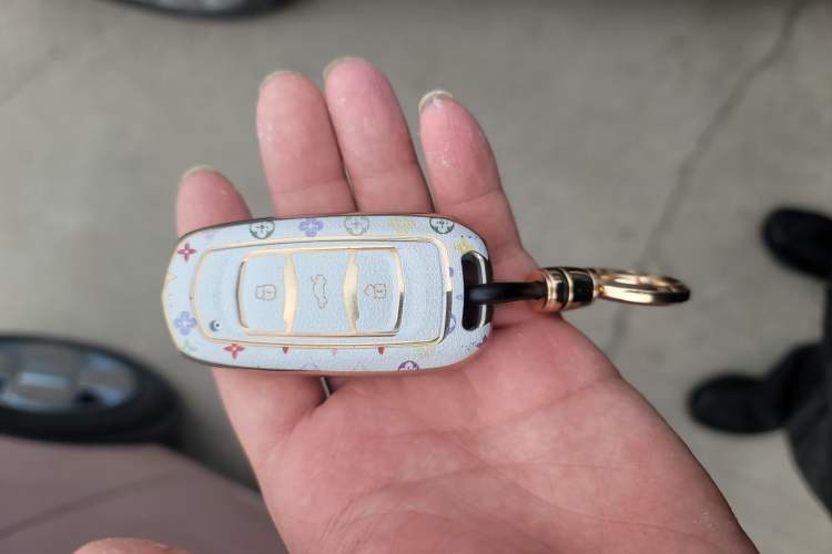 Used Geely Galaxy Panda 2023 Panda Mini 200km Endurance Bear