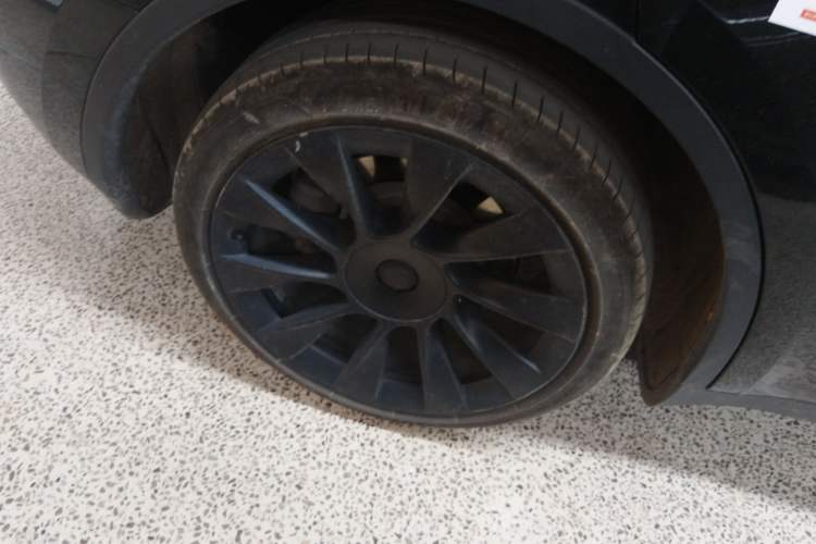 Used Tesla Model Y 2022 Revised Version Long-Range All-Wheel Drive
