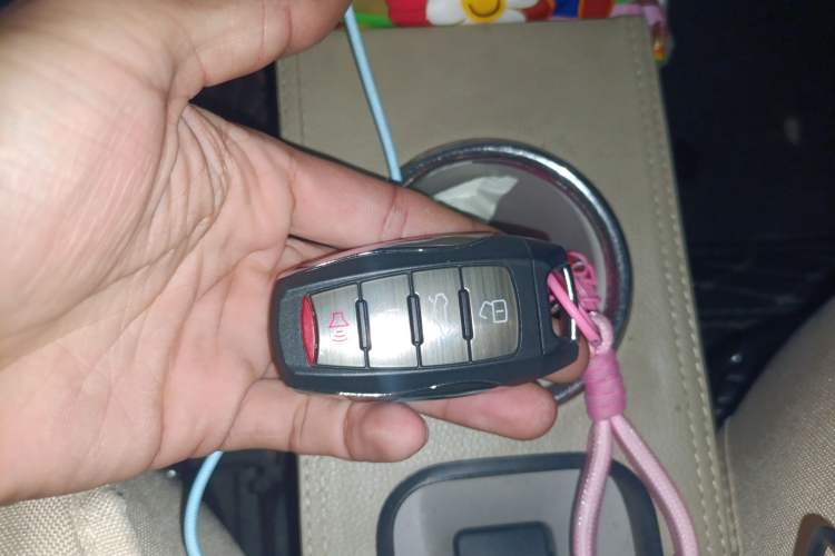 Used ORA White Cat 2020 360 km Luxury Version Vehicle Key