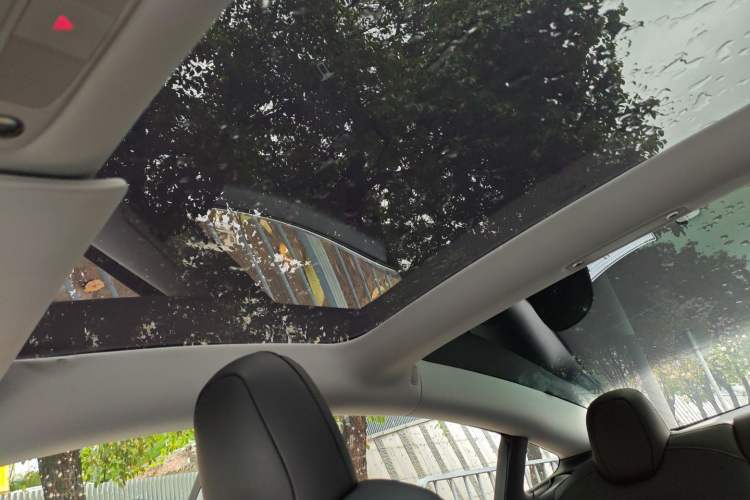 Used Tesla Model 3 2019 Standard Range Rear-Drive Upgraded Version
