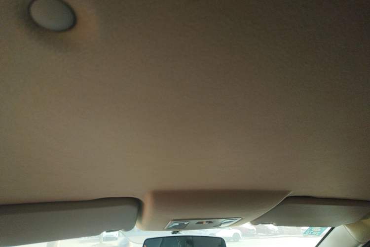 Used Dongfeng Fengon S560 2019 1.8L Manual Urban Model Headliner