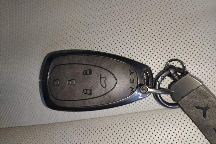 Used Wey Gaoshan 2025 Four-Wheel Drive Alpine 8