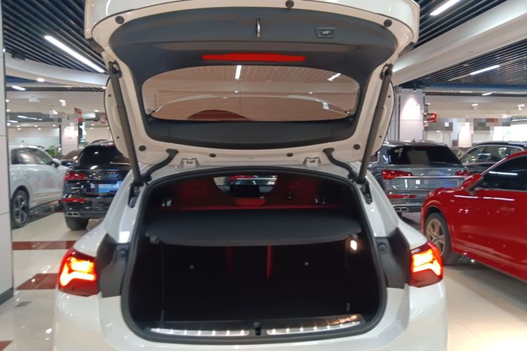 Used BMW X2 2021 sDrive25i Luxury Model with M Sport Package
