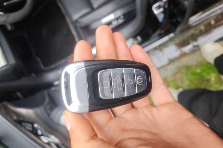 Used Hongqi H9 2020 2.0T Smart Connect Flagship Edition