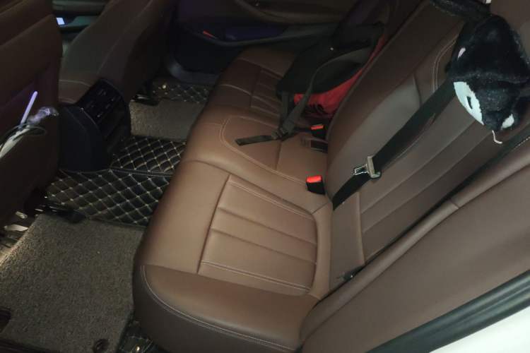 Used BMW 5 Series 2020 525Li Luxury Package Left Rear Seat