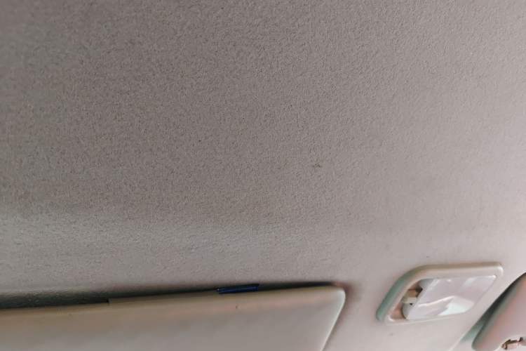 Used FORTHING Lingzhi 2022 Entry-Level M5L 1.6L Comfort Version 7 Seats