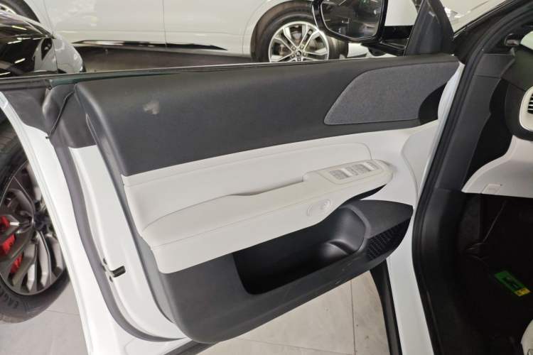 Used XPeng G6 2023 580 Long-Range Pro Left Front Door Interior