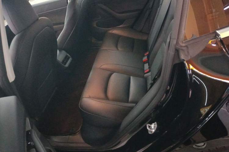 Used Tesla Model 3 2020 Revised Version Standard Range Rear-Wheel Drive – Upgraded Edition
