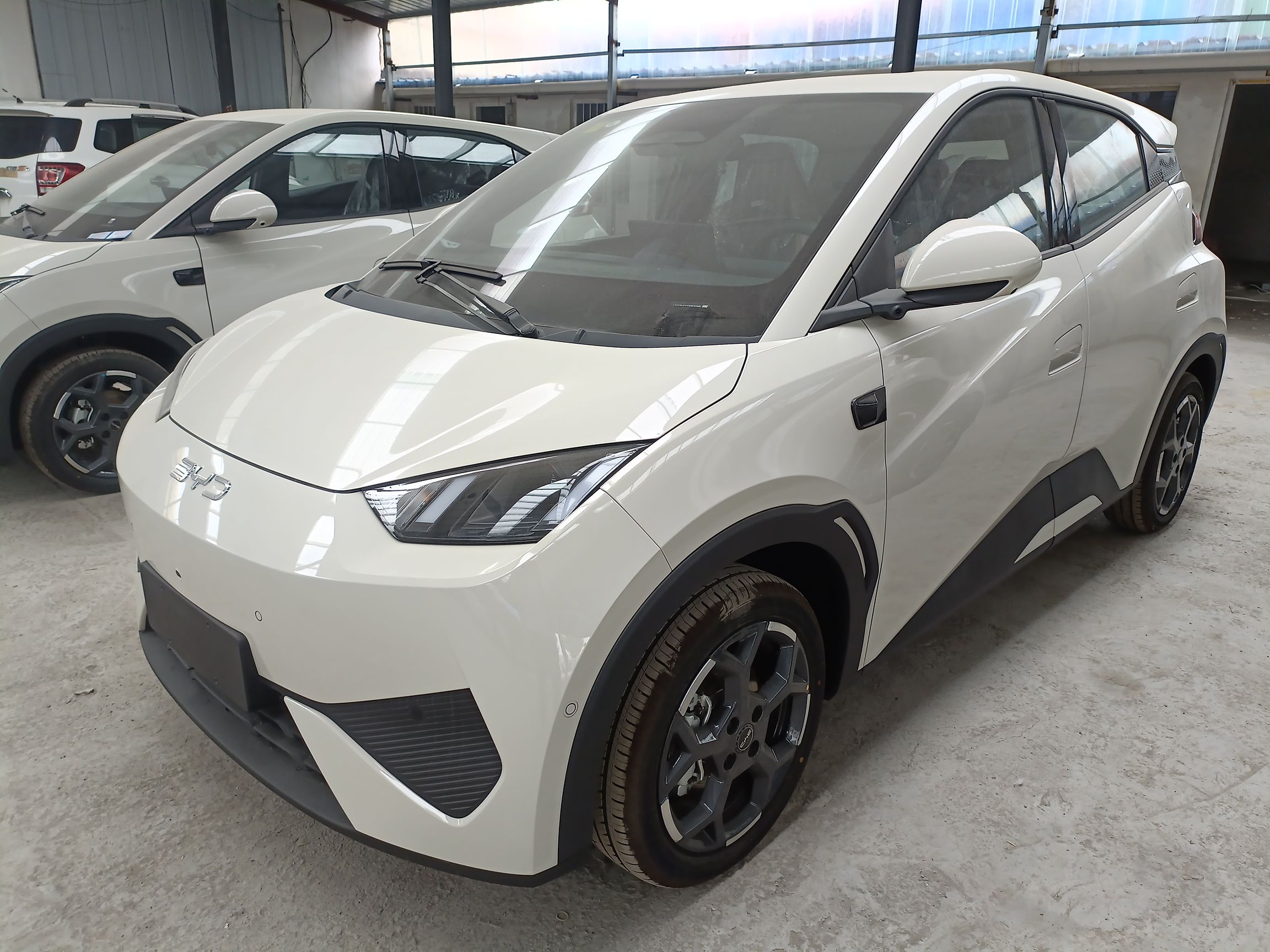 Parte inferior delantera