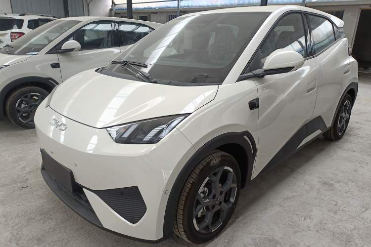 Used BYD Seagull 2025 Smart Drive Version 305 km Freedom Edition