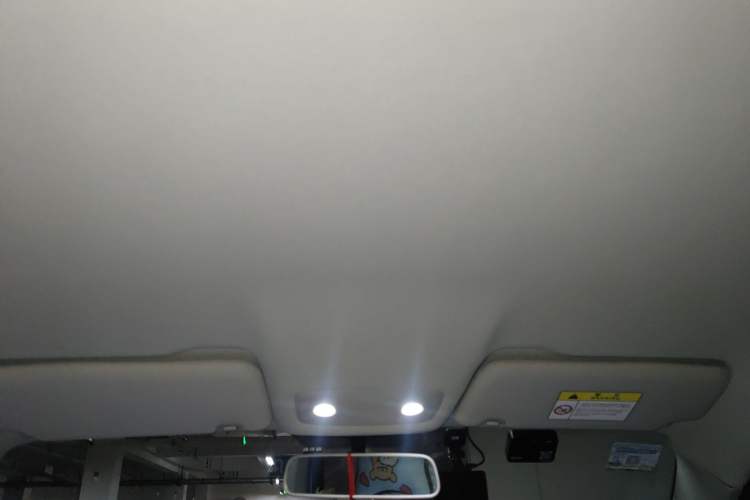 Used Leapmotor T03 2022 Crystal Edition Headliner