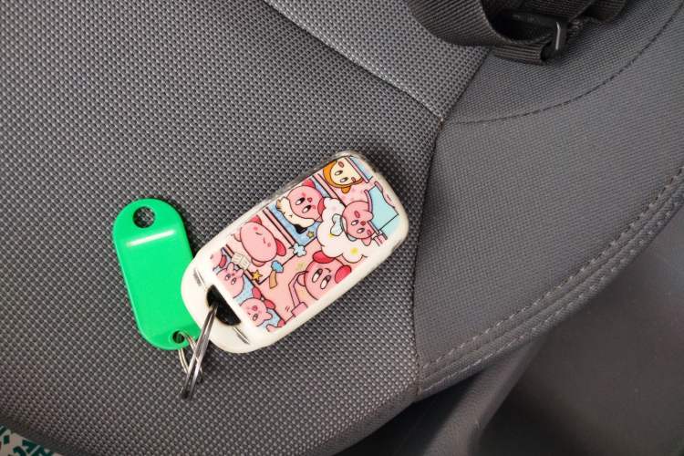 Used CHANGAN NEVO Lumin 2022 301km Honey-Sweet Version Vehicle Key