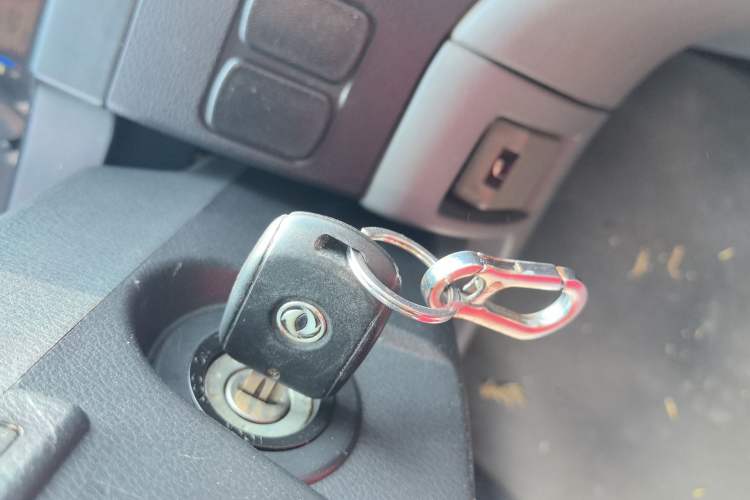 Used FORTHING Lingzhi 
