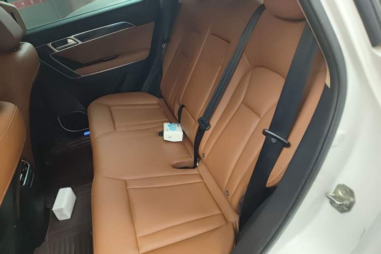 Used Haval H6 Coupe 2015 Blue Label 2.0T Automatic Two-Wheel Drive Elite Model Left Rear Seat