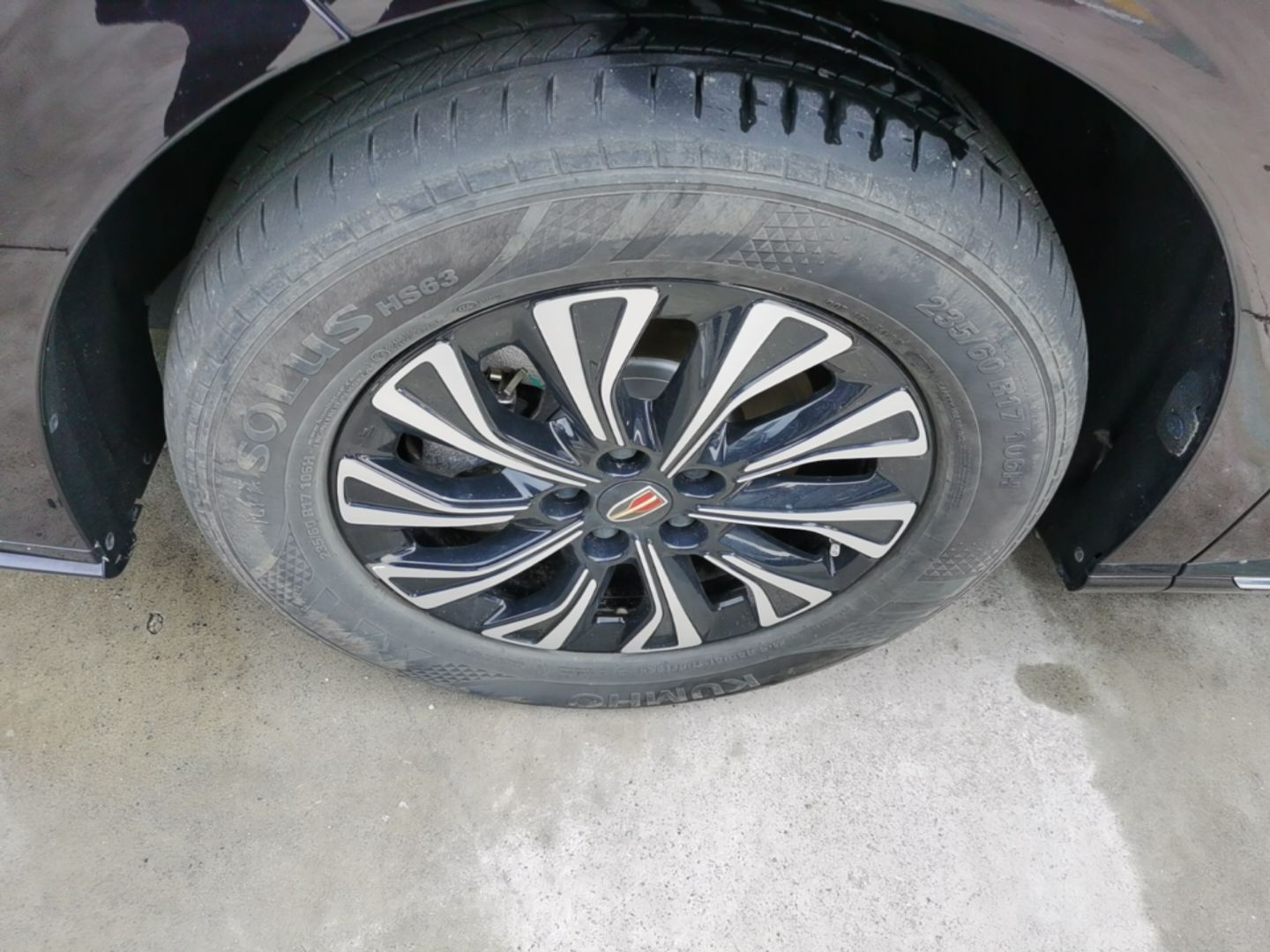 Hongqi HQ9 PHEV 2024 2.0T Four-Wheel Drive Business Edition — снимка 10