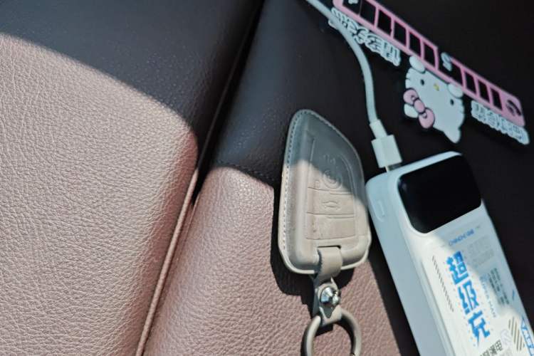 Used BMW X1 New Energy 2020 xDrive30Le Premium Edition Vehicle Key