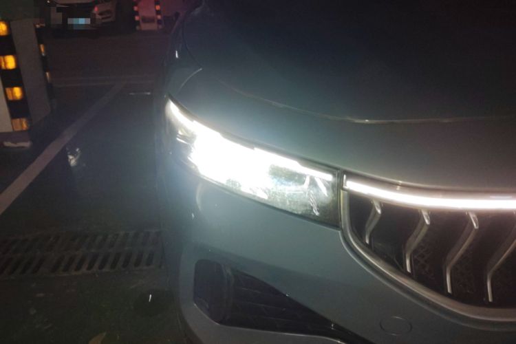 Used VOYAH FREE 2021 Four-Wheel Drive Standard Range-Extended Exclusive Luxury Package
