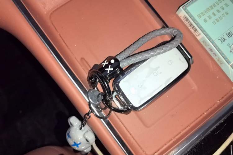 Used Geely Galaxy L6 2025 EM-i 140km Explorer+ Edition Interior 1